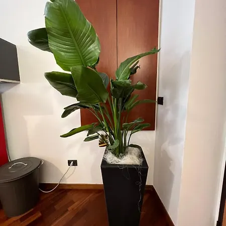 Effealatapartments - Del Duca Apartamento Senigália