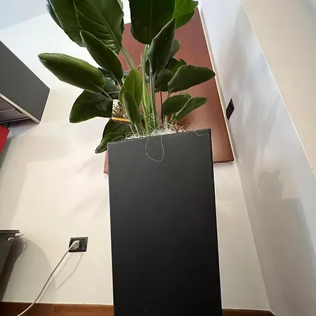 Effealatapartments - Del Duca * Senigália